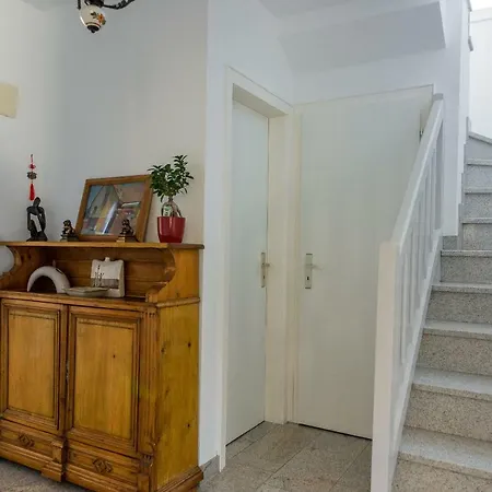 Les Mimosas à * Sélestat