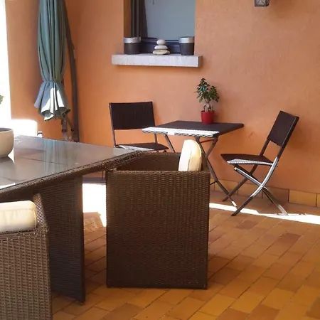 Les Mimosas à Sélestat